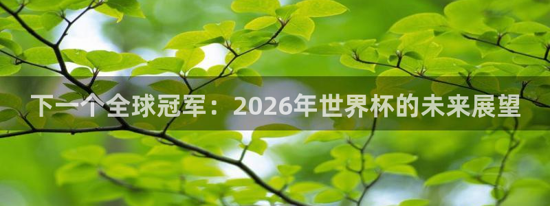 世界杯球队排名:下一个全球冠军:2026年世界杯的未来展望
