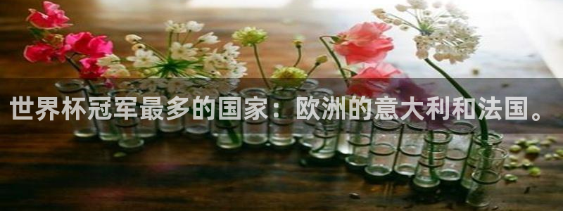 世界杯亚洲区预选赛赛程:世界杯冠军最多的国家:欧洲的意大利和法国。