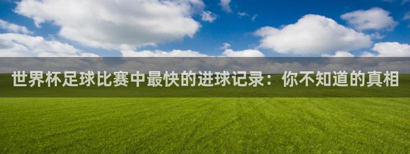 世界杯足球2026:世界杯足球比赛中最快的进球记录:你不知道的真相