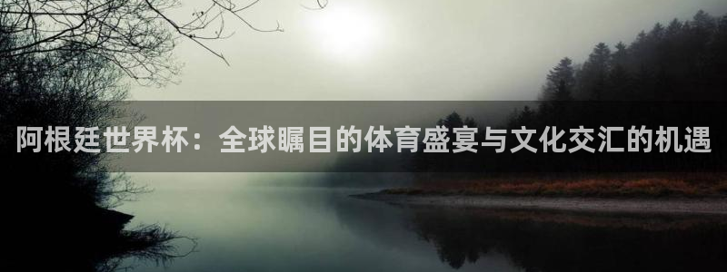 世界杯足球:阿根廷世界杯:全球瞩目的体育盛宴与文化交汇的机遇