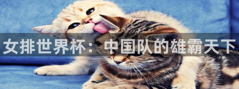 世界杯足球赛2026:女排世界杯:中国队的雄霸天下