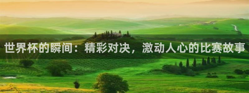 世界杯48支球队赛制:世界杯的瞬间:精彩对决,激动人心的比赛故事