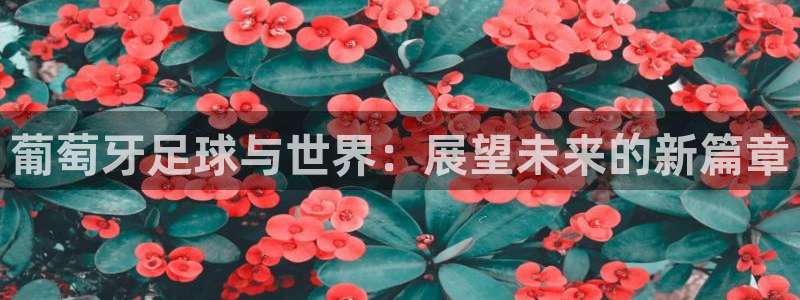 世界杯直播在线观看入口:葡萄牙足球与世界:展望未来的新篇章
