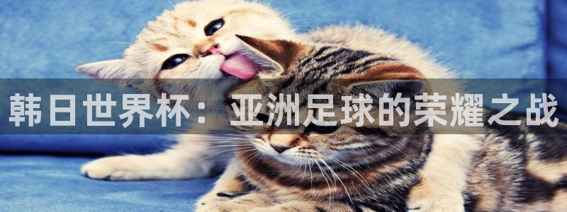 世界杯欧洲区世预赛赛程:韩日世界杯:亚洲足球的荣耀之战